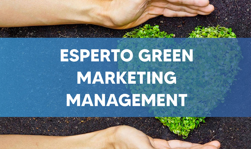green_management_marketing green_management_marketing